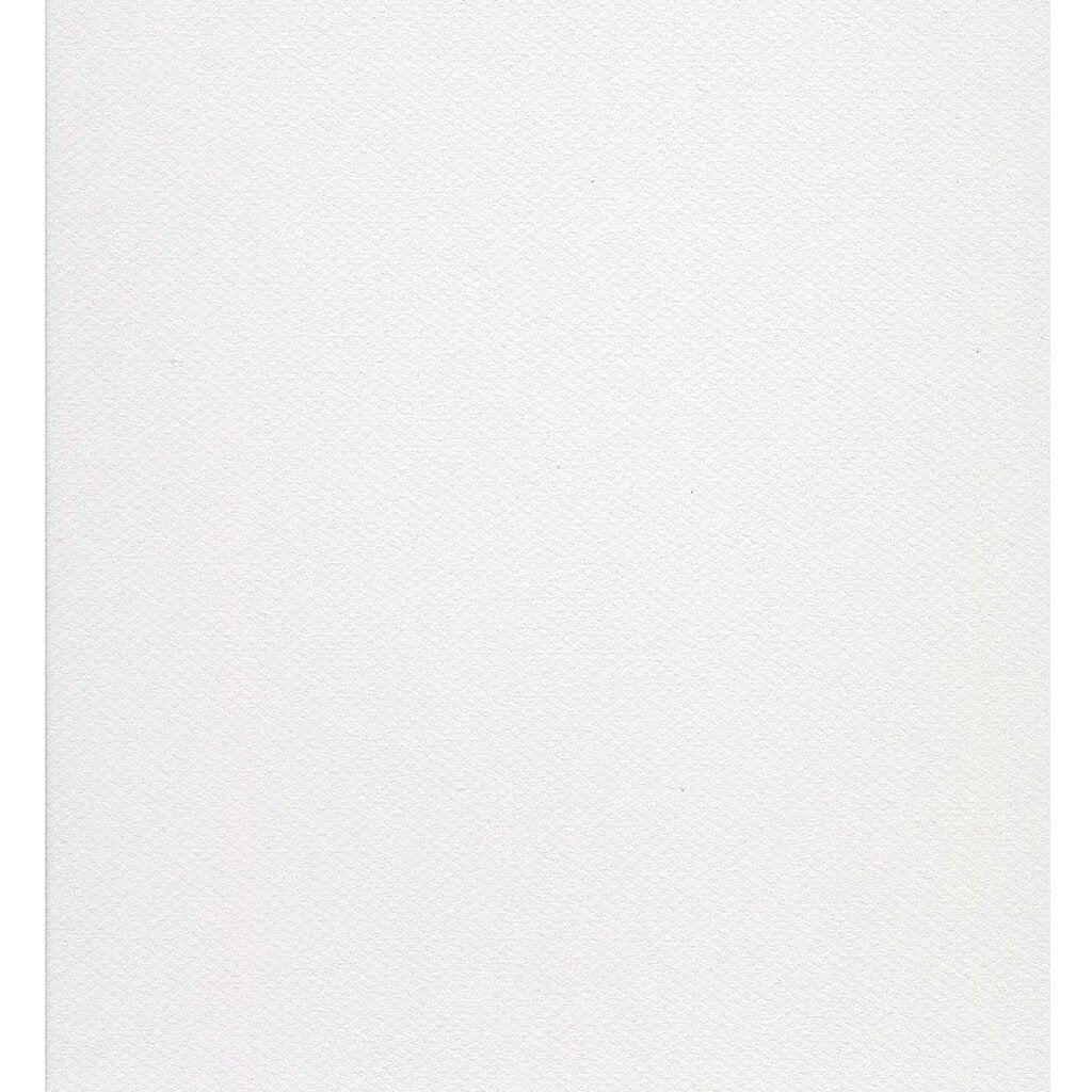 Canson Mi-Teintes Art Board 120 16in x 20in Pearl Gray