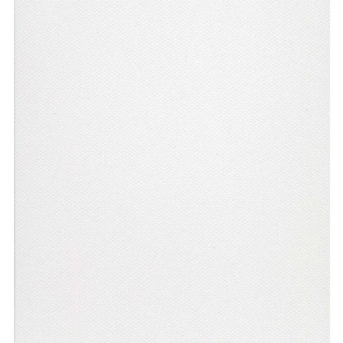 Canson Mi-Teintes Art Board 120 16in x 20in Pearl Gray