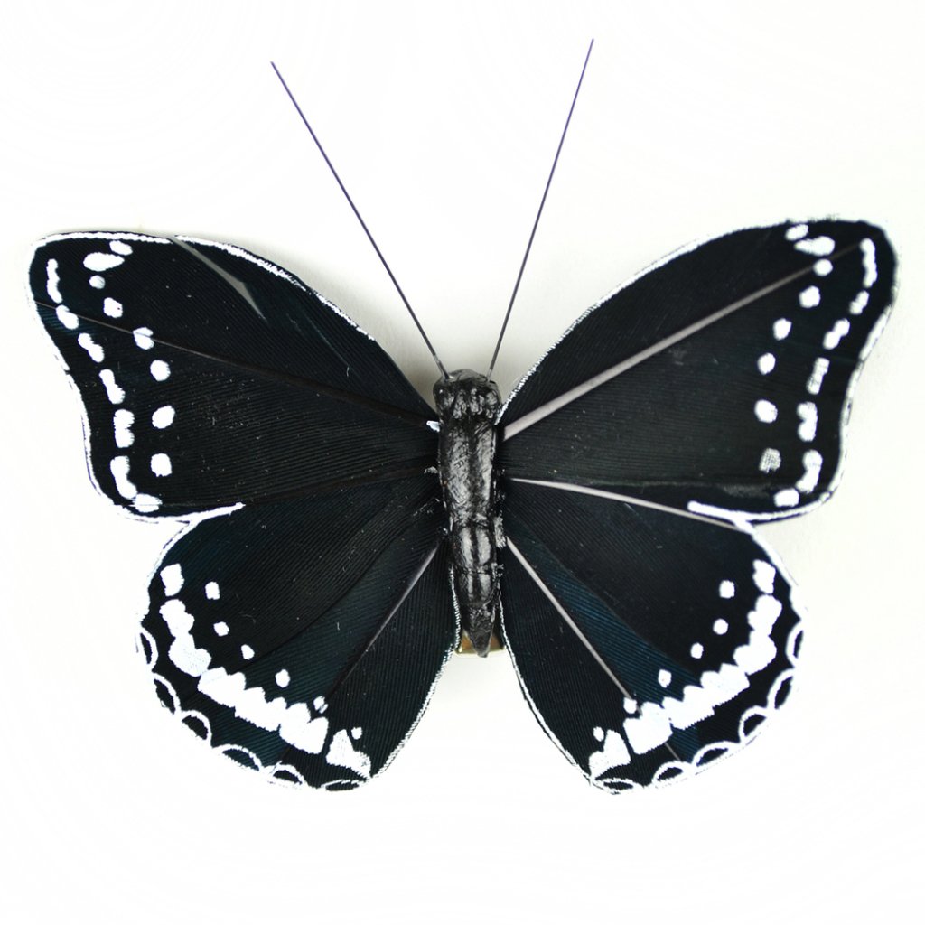 Feather Butterfly 3in Black/Whi Te On Clip 1Pc 