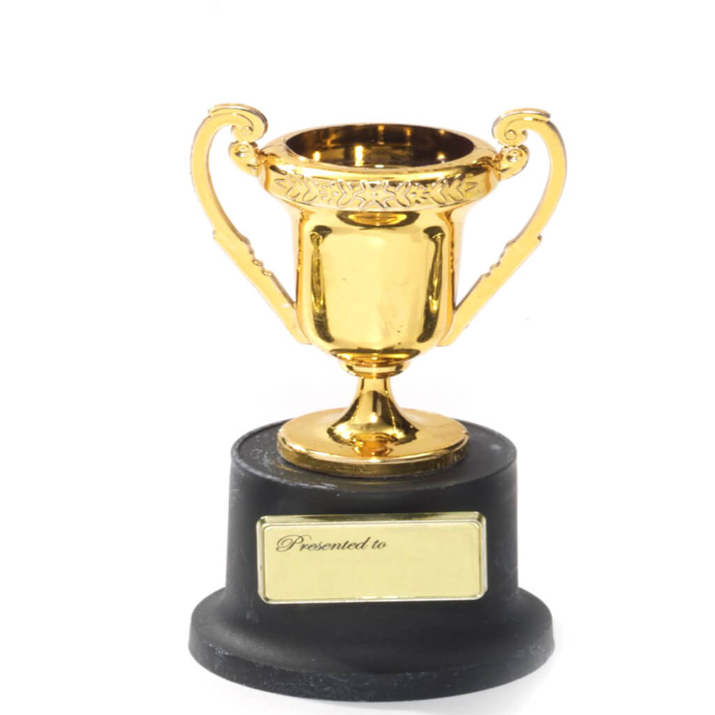 TROPHY LOVING CUP SMALL 