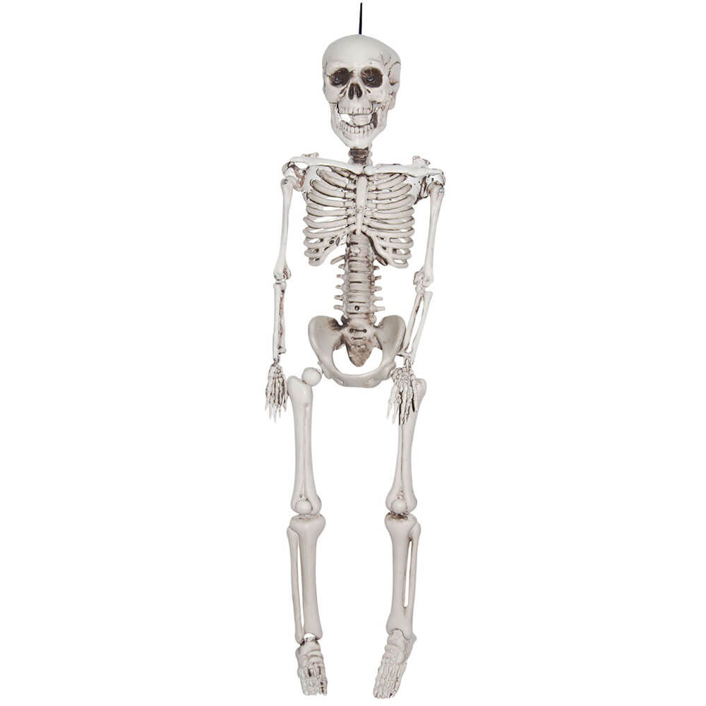 Realistic Plastic Skeleton 36in