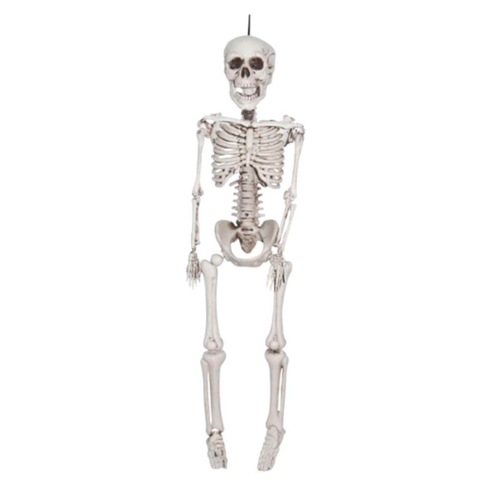 Plastic Realistic Skeleton, 12in