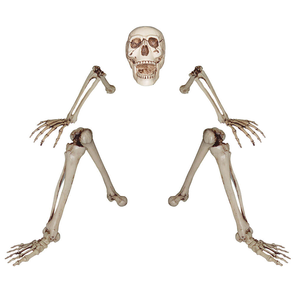 Ground Breaking Skeleton