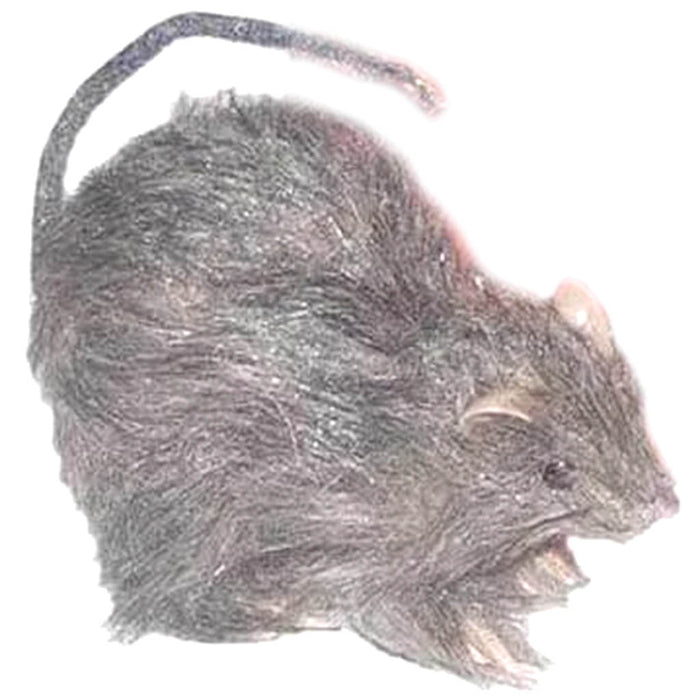 Mini Rats 