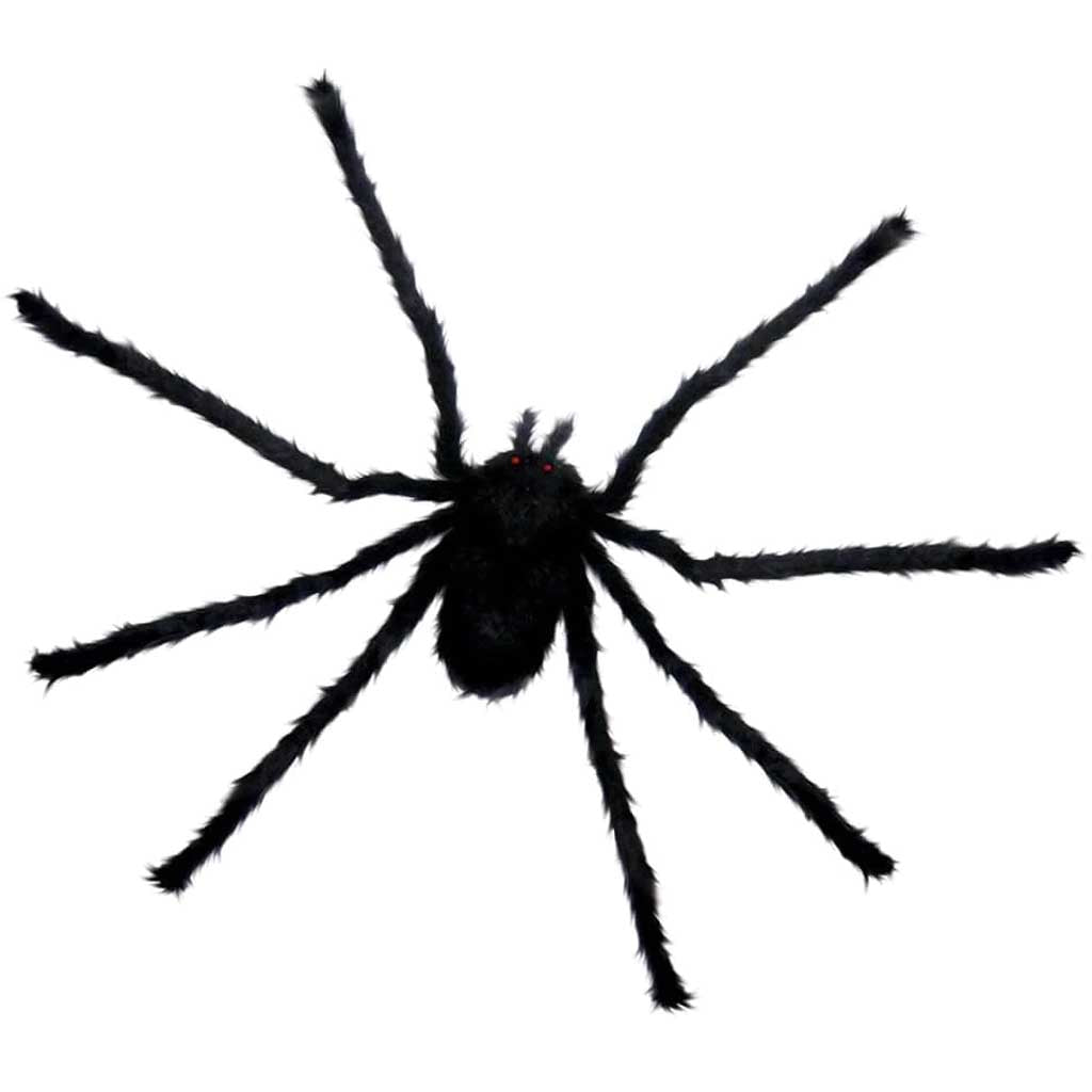 Spider Tarantula Hairy Furry Black 