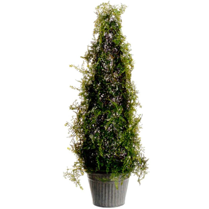 Iced Cedar Cone Topiary 
